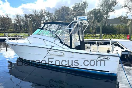 Rampage 30 Offshore ficha tecnica